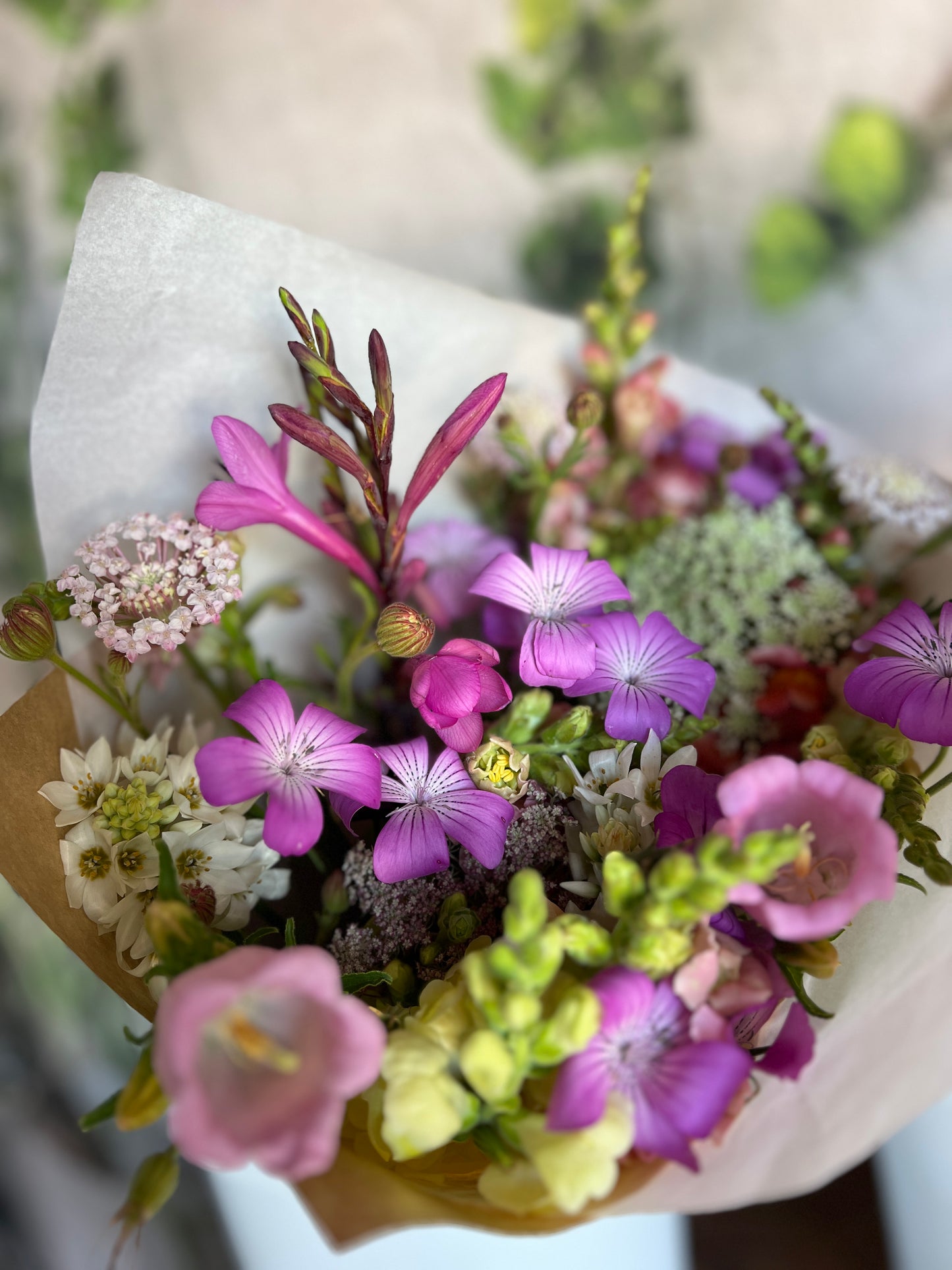 Standard Bunch - R180